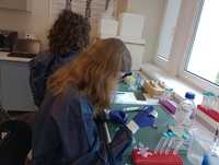 IMG-20240617-WA0010.jpg
