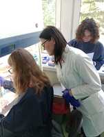 IMG-20240617-WA0036.jpg