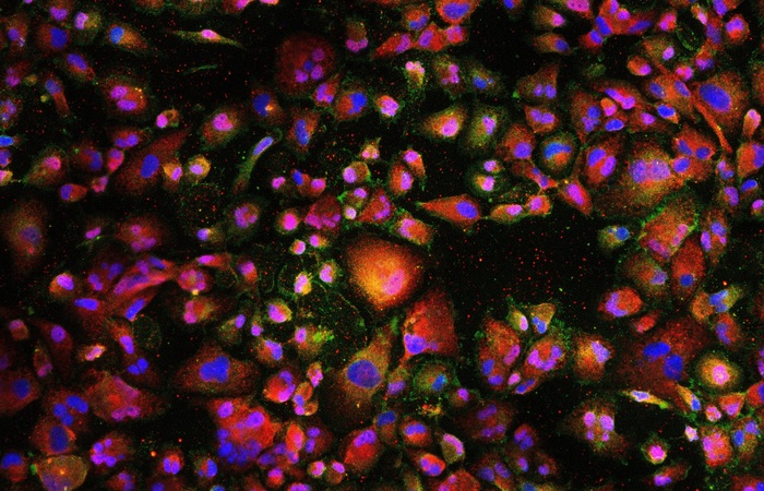 Science is People project meets Neuroscience 2.0