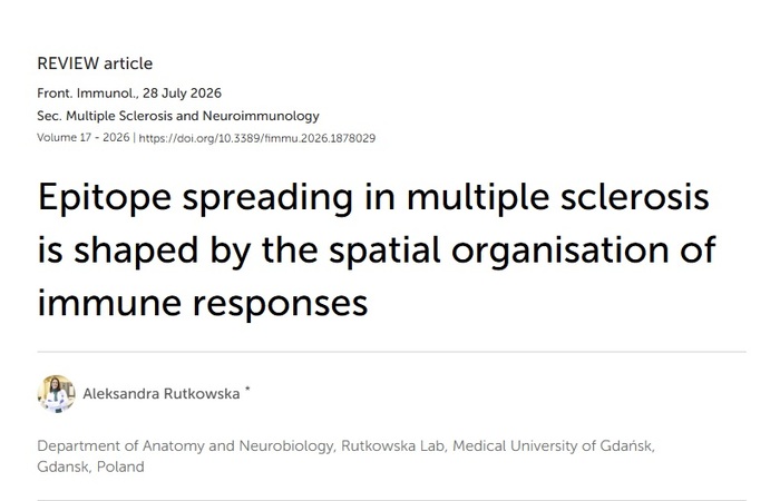 Epitope spreading in multiple sclerosis is shaped by the spatial organisation of immune responses
